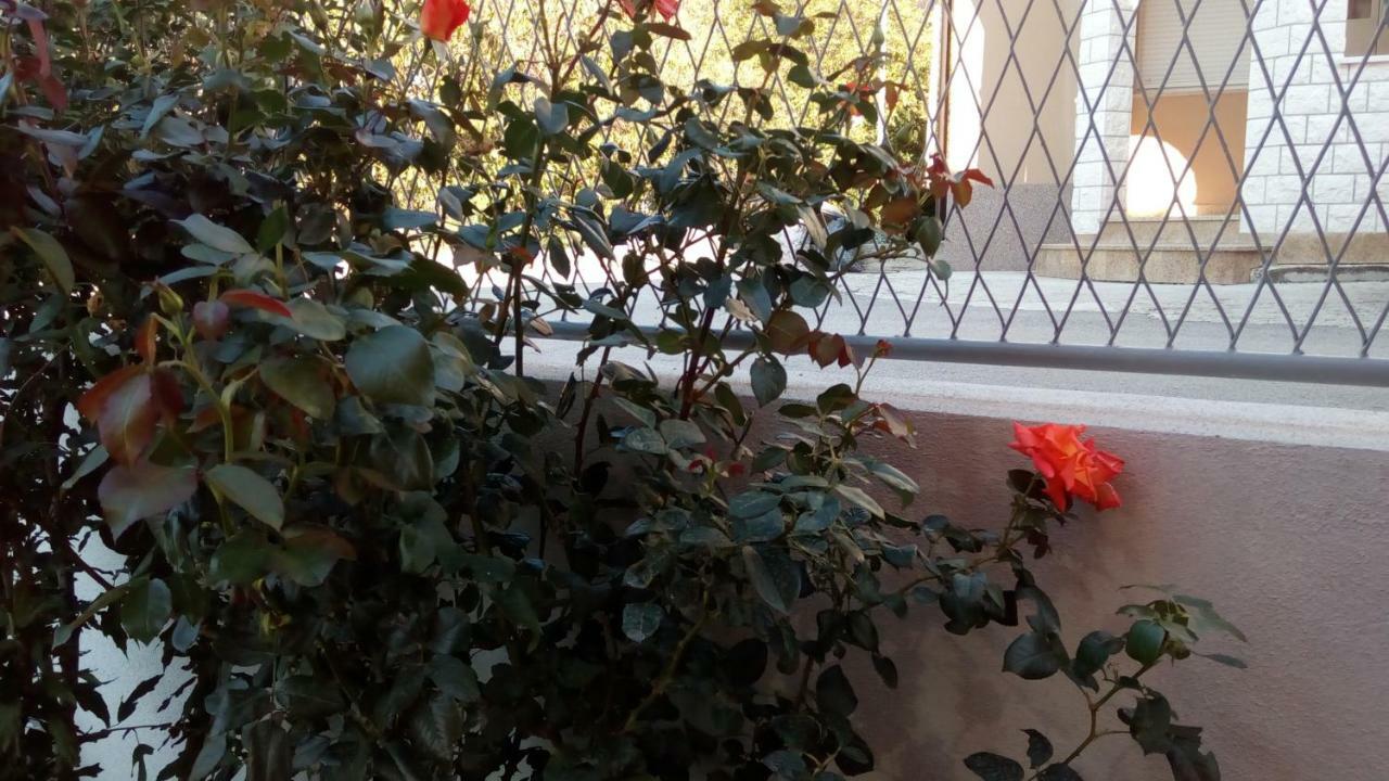 Apartment Sunce Podstrana Dış mekan fotoğraf